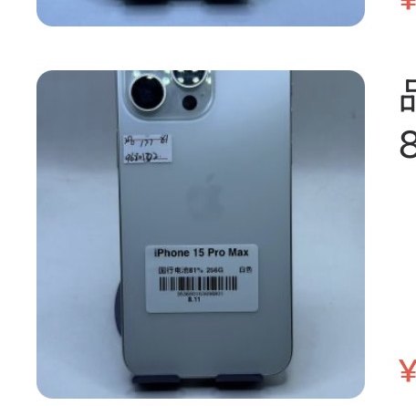 Apple iPhone 15 Pro Max 256 Go