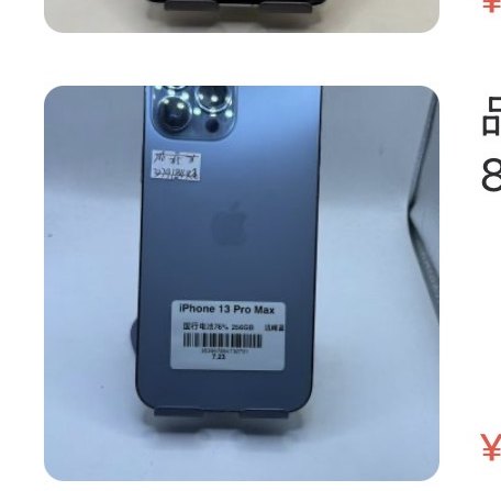 Apple iPhone C13 Pro Max 256 Go