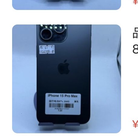 Apple iPhone 15 Pro Max 256 Go