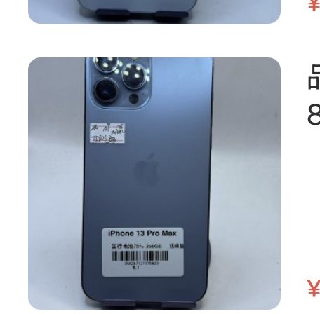 Apple iPhone 13 Pro Max 256 Go