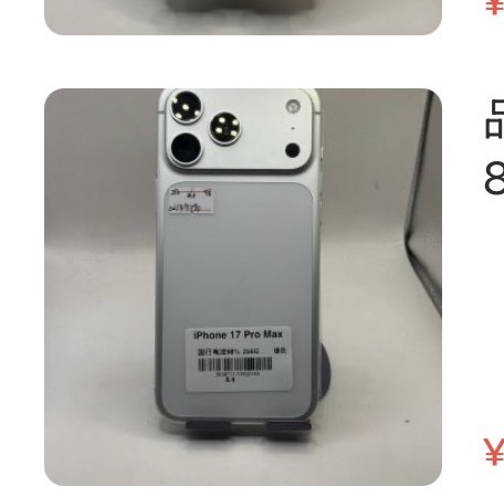 Apple iPhone C917 Pro Max 256 Go